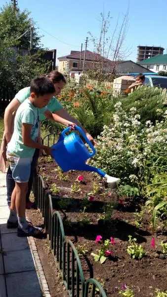  текст текст текст текст текст текст текст текст текст текст текст текст текст текст текст текст