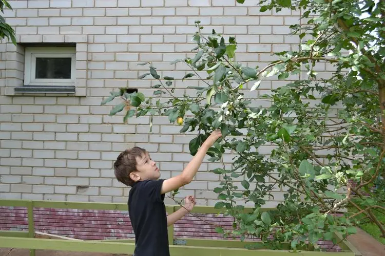  текст текст текст текст текст текст текст текст текст текст текст текст текст текст текст текст