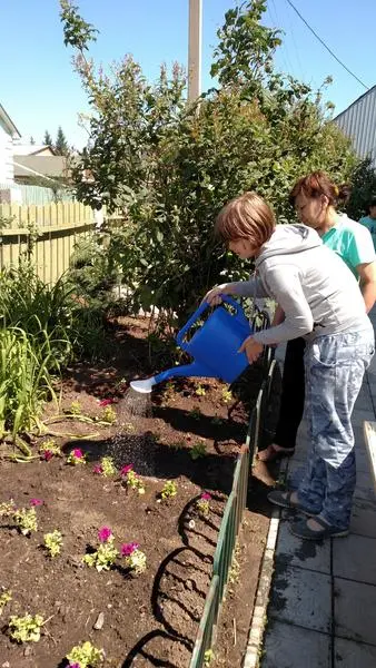  текст текст текст текст текст текст текст текст текст текст текст текст текст текст текст текст