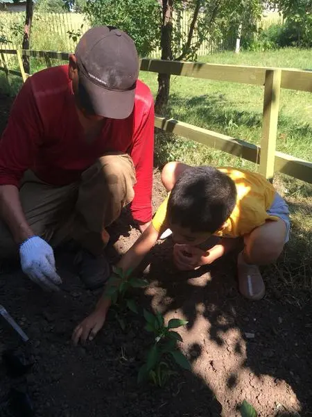  текст текст текст текст текст текст текст текст текст текст текст текст текст текст текст текст