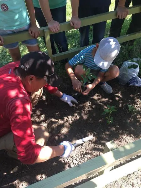  текст текст текст текст текст текст текст текст текст текст текст текст текст текст текст текст